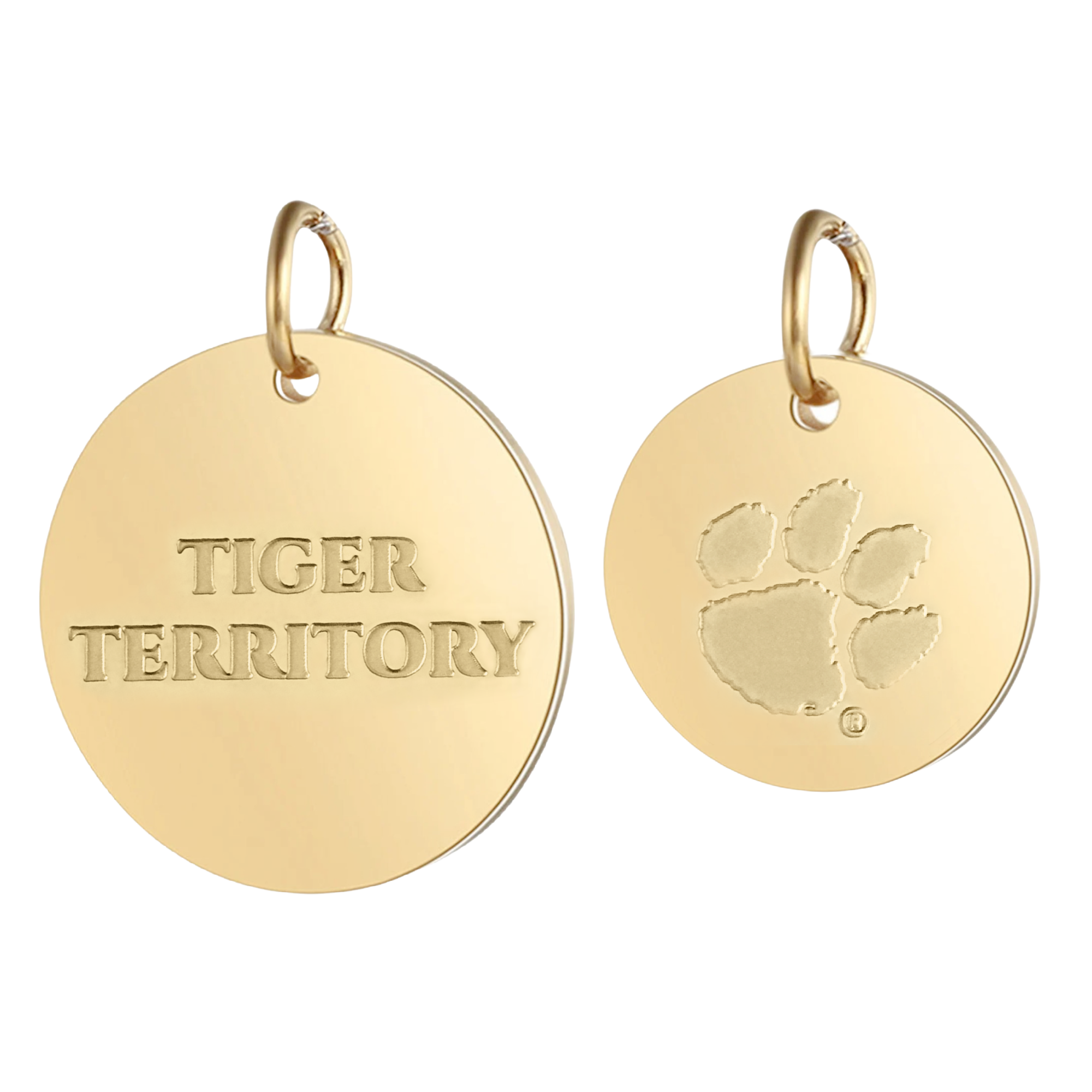 Gold Coin 2-Charm Set Collection