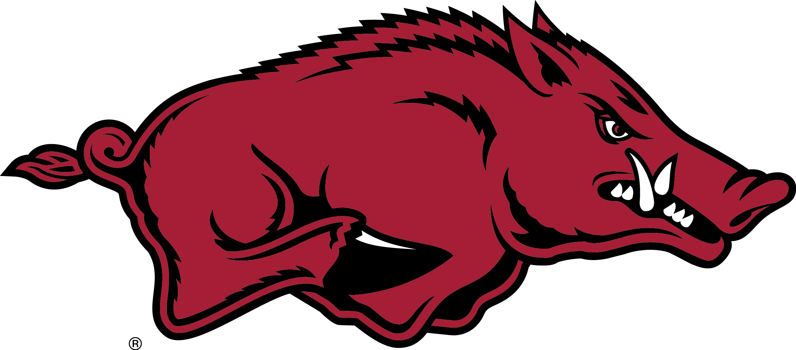 Arkansas Razorbacks