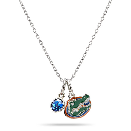 Florida Gators Jewelry Charm Bracelet