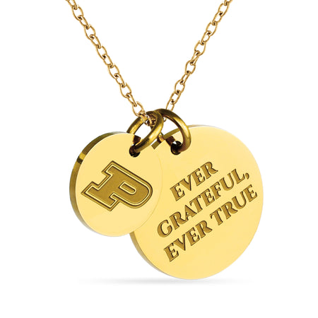 Michigan Block M Gold Plated Charm Necklace