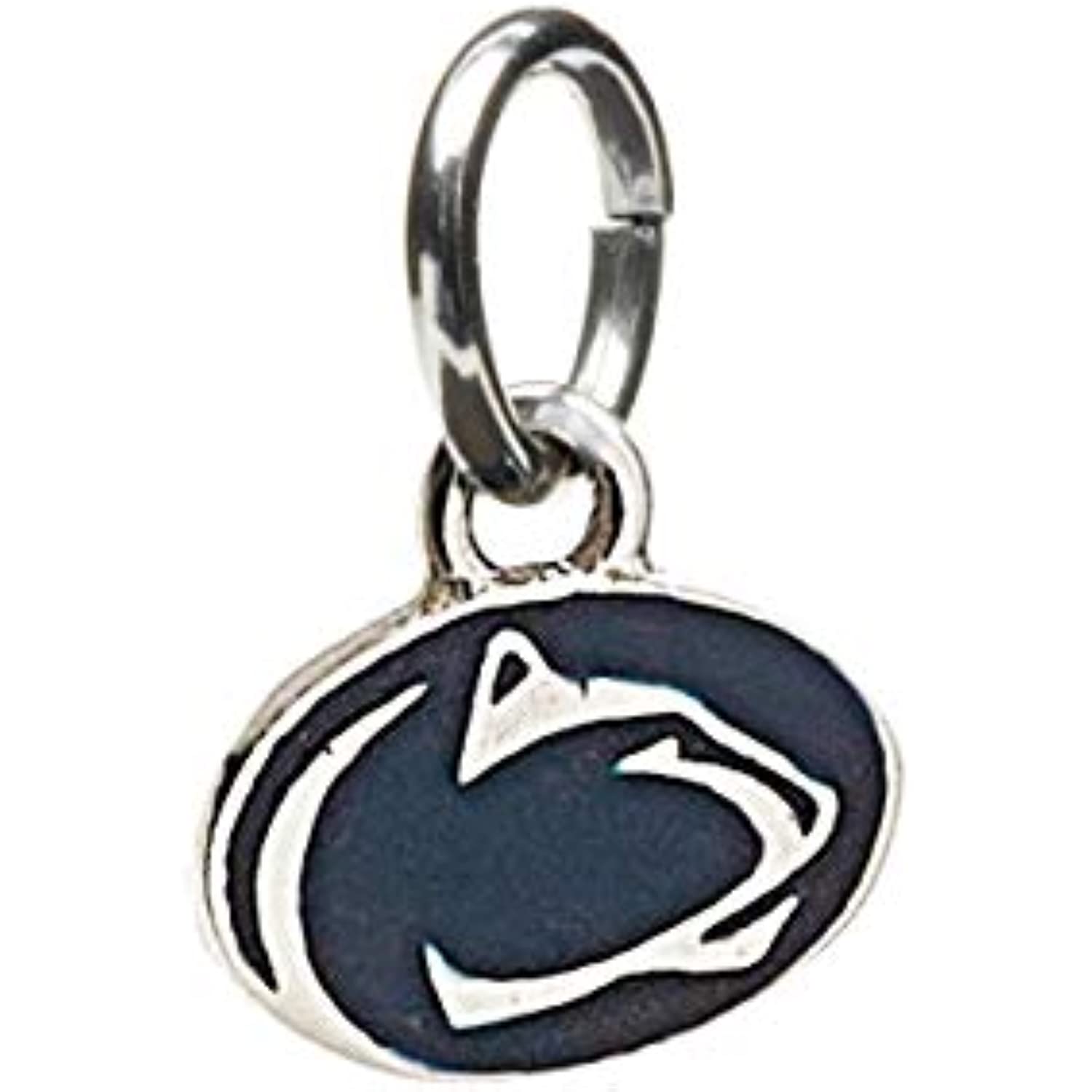 Penn State Nittany Lions Bracelet Jewelry – Stone Armory