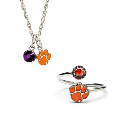 Orange, Purple and Clear Striped Crystal Bead Charm